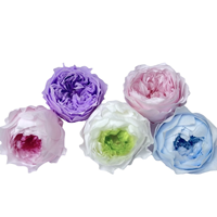 Buatan tangan 4-5cm Austin Rose bunga abadi alami Pink putih untuk Natal wisuda pabrik Hari Valentine