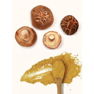 QinShanTang Estratto in Polvere di Funghi Shiitake Lentinus Edodes Biologico di Alta Qualità 1:1 Beta-d-glucano≥30% - Product Image 1