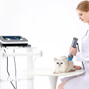 Machine de thérapie par ondes de choc extracorporelles vétérinaires Soulagement de la douleur des animaux pour une utilisation en clinique - Product Image 4