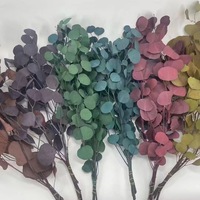 Bunga yang diawetkan dan tanaman nyata perak alami dolar daun eucalyptus cabang bunga kering daun eukaliptus untuk dekorasi