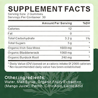 WELLBODY OEM Marque Privée Vente en Gros Gummies de Mousse de Mer Soutien Immunitaire Supplément Naturel pour Adultes