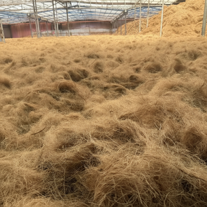 Fibra de coco al por mayor, residuos de coco de alta calidad, producto biorgánico naturalmente biodegradable para la industria del coco - Product Image 1