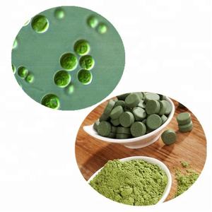 Fornitura di fabbrica 100% clorella naturale in polvere di cellule rotte clorella - Product Image 3