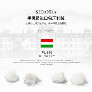 Surmatelas en duvet de canard Sidanda 95% duvet blanc hongrois extra doux hypoallergénique style scandinave - Product Image 2