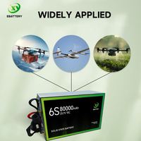 80000 мАч 6S твердотельный литиевый аккумулятор 1200 + срок службы для промышленного БПЛА с фиксированным ветром