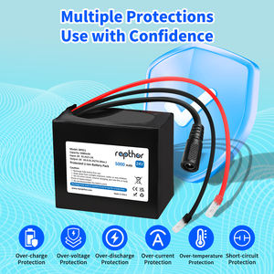 Rapthor 24v 5000mah נטענת ליתיום סוללה נטענת ליתיום סוללה נטענת ליונים - Product Image 5