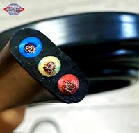Câble de pompe submersible 3/4 conducteurs 4mm 6mm 10mm 16mm 35mm 4AWG 3AWG 8AWG 2AWG 5AWG JHSB en caoutchouc étanche pour forage de puits profonds
