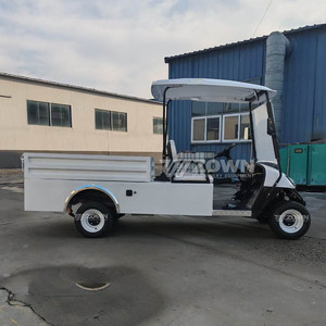 Carrito de Golf Eléctrico de 2 Plazas con Caja de Carga, Vehículo Utilitario con Batería de Litio de 48V, Buggy para Granja, Resort o Parque, Venta Caliente 2026 - Product Image 5