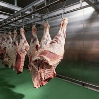 Machine de décongélation personnalisée à basse température et haute humidité, avec contrôle PLC et capteur de température et d'humidité pour la transformation de la viande et des fruits de mer