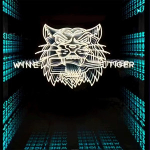 2025 Tùy Chỉnh 3D Ngàn Lớp Gương Vực Thẳm Gạch Vô Hạn Đường Hầm Tempered Neon Ánh Sáng Thủy Tinh Cho Quảng Cáo Nền Tường - Product Image 5