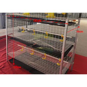 Cage à poulets de chair robuste GREAT FARM à 3 niveaux et 6 portes, galvanisée à froid, capacité 54-60 oiseaux, équipement commercial pour élevage avicole - Product Image 4