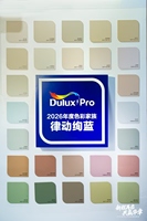 Dulux Couche Intermédiaire Élastique pour Mur Extérieur