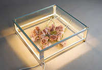 Scène de mariage en verre trempé carré pour piste de danse, plateforme de scène en plexiglas transparent avec LED, magnifique scène en verre