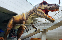 Indométrie de dinosaure taille de vie, modèle t-rex, prix d'usine pour City nova
