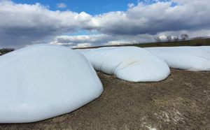 Sac de stockage d'ensilage hermétique en PEHD Longxing, étanche, 200 tonnes, 2,4m x 50m, résistant aux UV, pour blé, riz et céréales - Vente en gros - Product Image 2