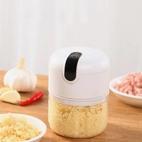 Best verkochte USB oplaadbare elektrische groentehakker, uiensnijder, fruitsnijder, keuken gadget, knoflookpers