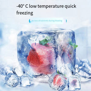 Buena calidad Vertical tipo Blast Freezer 3 bandejas Mini Blast Freezer Chiller para negocios - Product Image 4