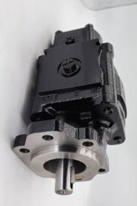 เครื่องจักรแปรรูปโลหะรุ่น PLP20 PLP10 ซีรีส์ ปั๊มเกียร์ PLM PLP PLP30 รุ่น PLM20.11.2S5-52E2 PLM20.16S5-48E2 ปั๊มสำหรับเครื่องจักรจัดสวน - Product Image 3