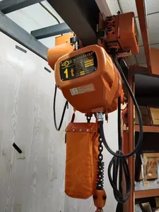 بيع بالجملة والتجزئة 2 طن Tecle مع رافعة ترولي آلية - Product Image 4