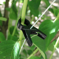 Parfait pour tenir sur des pointes d'orchidées, des pimentes, des tomates ou des bougainvillées, des vignes, des clips de support