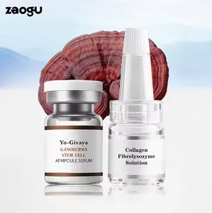 Face Care Serum OEM ODM Ganoderma lucidum Ampoule Essence Skin Care Products Face Moisturizer Skin Serum Private Label