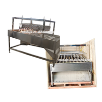 Machine à épiler les pieds de porc / Machine à épiler les têtes de chèvre / Machine à épiler les ailes de poulet