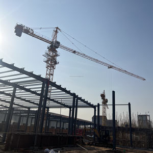 התקנה מונחה על ידי מהנדס של עגורן תעשייתי לתעשייה המתכתית של ZHILIAN STEEL STRUCTURE, אחריות לשנה, דגם ZL0090 כולל - Product Image 2