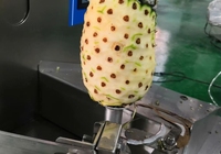 Apparatuur voor het schillen van kokosnoten, voedselschiller voor kantines, commerciële automatische schilmachine