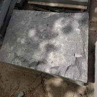 Chine G654 Panneaux muraux en pierre champignon Finition naturelle Pierre murale fendue