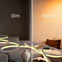 PWM Control Gradation 24V IP68 Lumière Ambiante Top Bending Dim to Warm Ra95 Silicone Neon LED Étanche Façade Plafonnier Intérieur