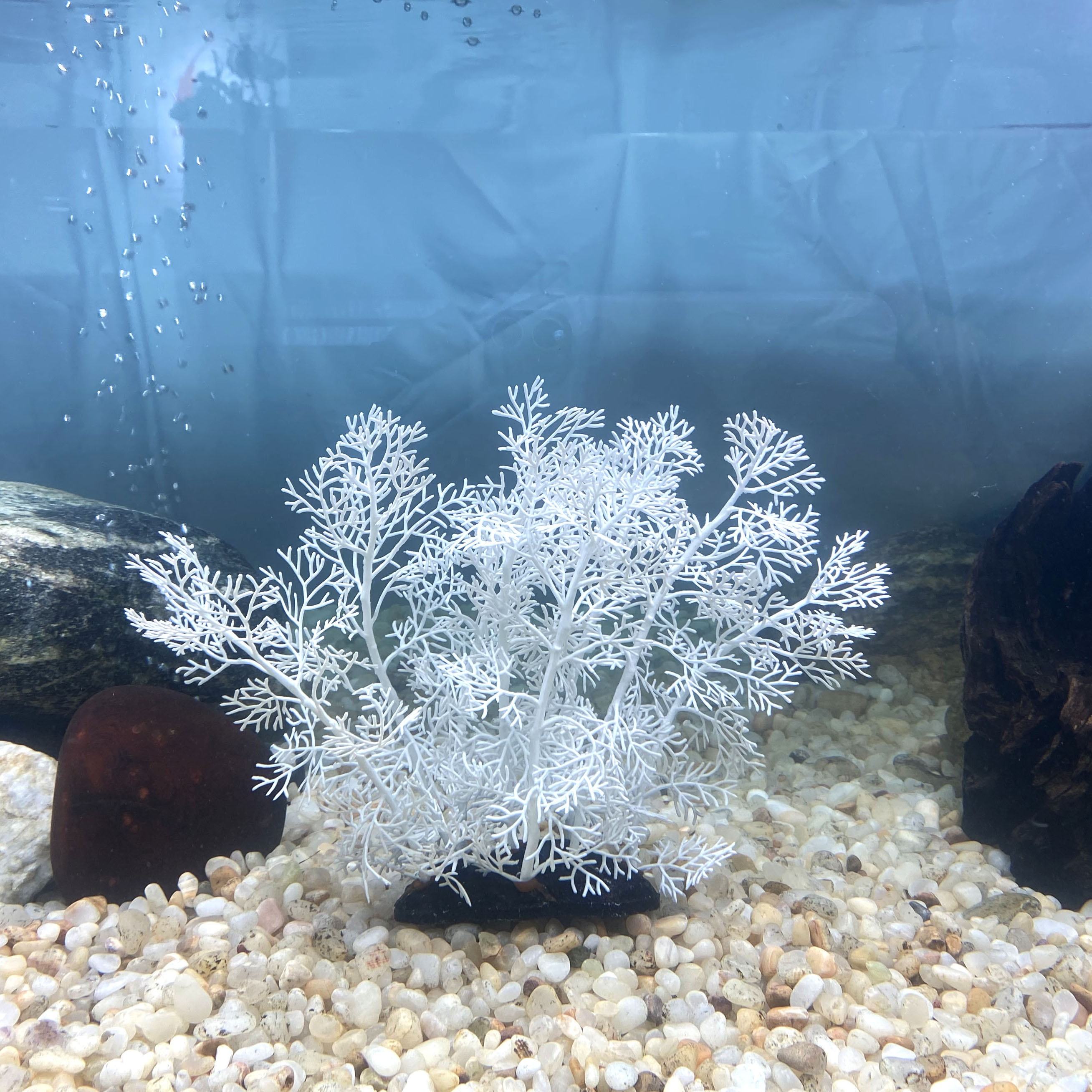 White Decorative Coral China Trade Buy China Direct From White Decorative Coral Factories At Alibaba Com