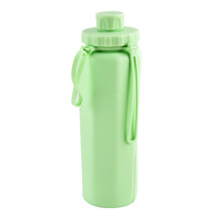 Bouteille d'eau pliable en silicone platine de qualité alimentaire, grande capacité, gourde de sport pliable, anti-fuite, portable, résistante à la chaleur