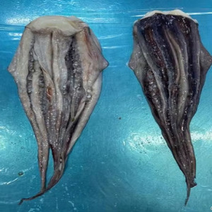 ปลาหมึกหนวดยักษ์แช่แข็ง - Product Image 5