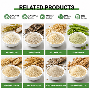 Proteine Isolate di Pisello Tianjia in Polvere 80% - Proteine Vegetali per Nutrizione Sportiva, <span class=keywords><strong>Alimenti</strong></span> Vegani <span class=keywords><strong>e</strong></span> Applicazioni Alimentari - Product Image 4
