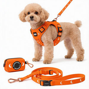 Sunraymascota OEM Pet Harness Manufacturer Neoprene Breathable Pet Harness Wholesale <strong>Dog</strong> Harness Set <strong>Luxury</strong> <strong>Dog</strong> Leash <strong>Collar</strong> Set - Product Image 1