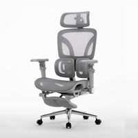 Chaise de bureau de direction ergonomique moderne de luxe, pivotante, en maille, avec support lombaire et appui-tête