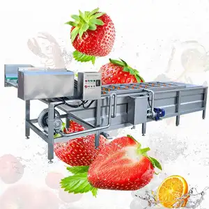 Auto Hot Sell Automatic Cleaner Industrial Commercial Air Bubble Washer Clean Fruit And Vegetable Wash Machine