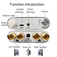 WUZHI AUDIO ZK-1002D HIFI 100W+100W Carte d'amplification audio pour haut-parleurs Module 2.0 Stéréo double canal Musique Protection contre les surtensions
