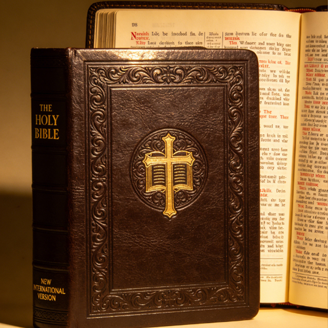 Holy Bible with Personalized Cover Forcustom Bible Printing and Bible Printing Service