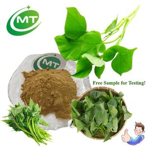 Extracto de planta de cuidado de la salud natural puro Extracto de hoja de Ipomoea Batatas de alta calidad Extracto de hojas de <span class=keywords><strong>batata</strong></span> - Product Image 1