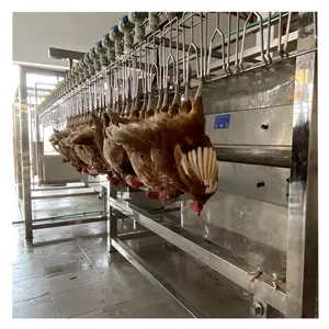 Máquina desplumadora de plumas de pollo, fabricación de fábrica, equipo de matanza avícola