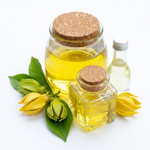 Proveedores de Aceite de Ylang-Ylang 100% Puro con Certificación GMP para el Cuidado Corporal - Product Image 1