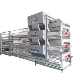 Automatic Chicken layer Cages Broiler Chicken Feed system h type broiler cage