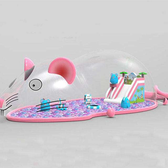 Inflatable Bounce Slide