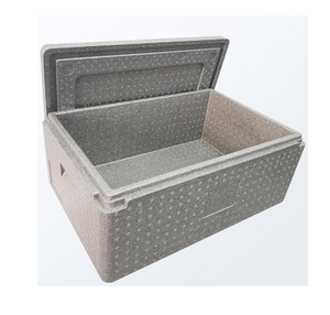Caja Térmica de Polipropileno Expandido (EPP) Personalizada DFS01 34L, Caja de Almacenamiento Rectangular de Gran Capacidad para Alimentos Frescos, para Refrigeración - Product Image 2