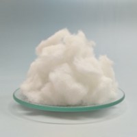 Affordable Cellulose Fiber Wood Fiber for Painting White Cellulose Fiber Used in Paints Latex Mixture