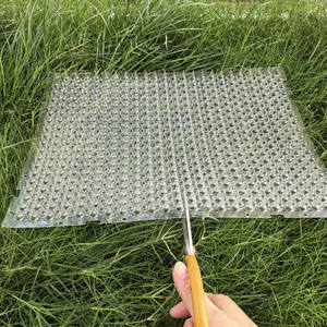 Custom Spiked Plastic Mat Heavy Duty Anti Trample Voor Buitentuinen Met Vogel Kat Hond Proof En Poep Bescherming - Product Image 3
