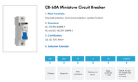 Interruptor Automático Miniatura Chint CB-60A 6kA 415VAC 125VDC para Sistemas Residenciales