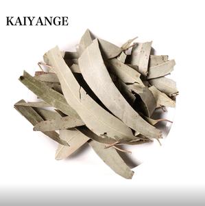 KAIYANGE VENTE EN GROS en vrac OEM Thé vert <span class=keywords><strong>d</strong></span>'<span class=keywords><strong>eucalyptus</strong></span> séché chinois <span class=keywords><strong>Feuilles</strong></span> mobiles Boîtes <span class=keywords><strong>de</strong></span> sachets à base <span class=keywords><strong>de</strong></span> plantes Tasses Traitement brut naturel - Product Image 1