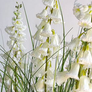 120cm Artificielle <span class=keywords><strong>Oignon</strong></span> Herbe Faux Vert Plante En <span class=keywords><strong>Pot</strong></span> Artificielle <span class=keywords><strong>Oignon</strong></span> Herbe Dans Un <span class=keywords><strong>Pot</strong></span> Pour La Décoration - Product Image 2